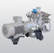 DSF.1201.6VG.10.E英德諾曼internormen雙筒過濾器替代濾